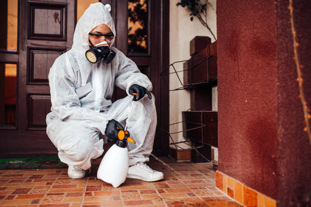 Reliable Wasp Removal contractor in Fords Prairie, WA by Show Me Pest Control
